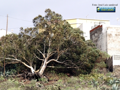 Fotos temporal Canarias 31 octubre 